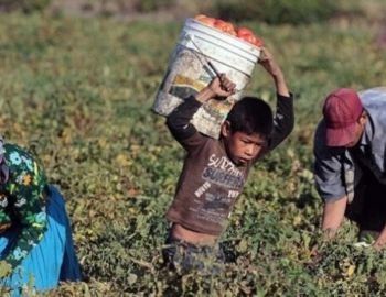 d�a internacional en contra de la esclavitud infantil