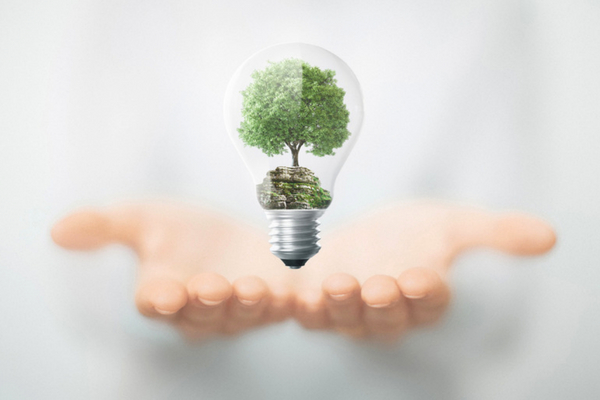 5 marcas a favor del planeta