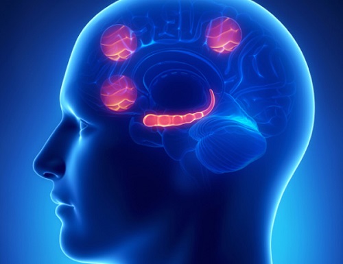 la causa de la alexitimia puede estar en la �nsula