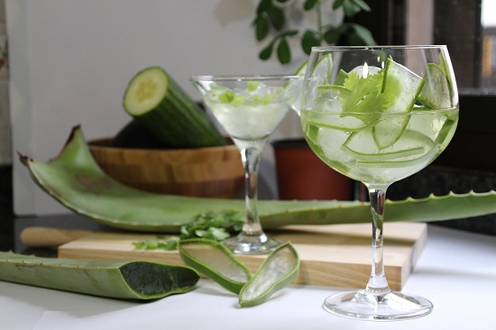 consumir aloe vera fortalece tu sistema inmunol�gico