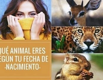 animal seg�n tu fecha de nacimiento