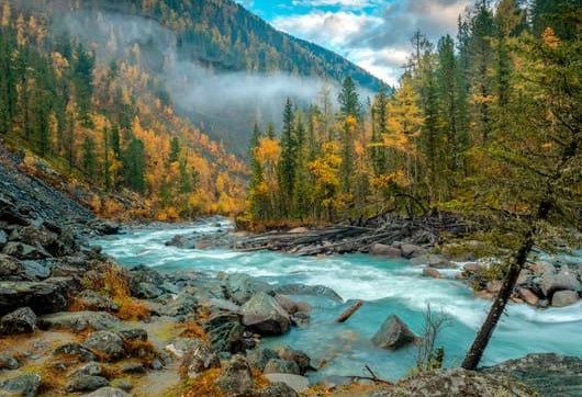 los �rboles ayudan a prevenir la erosi�n del terreno