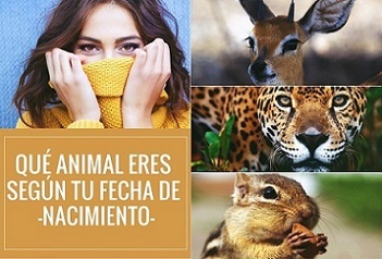 animal seg�n tu fecha de nacimiento