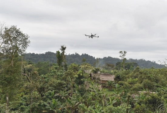 rescate y revisi�n de da�os