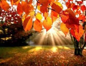 equinoccio de oto�o