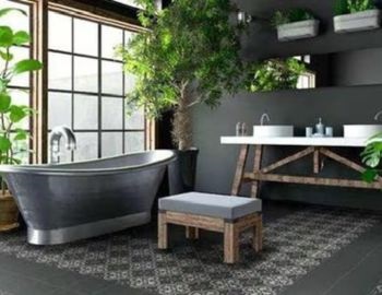 plantas ideales para tu ba�o