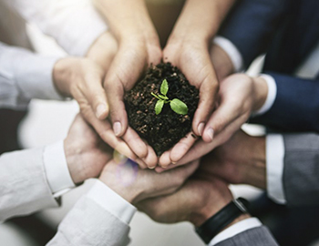 7 ecoretos a poner en pr�ctica desde la oficina