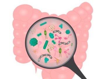 �qu� es el sibo?