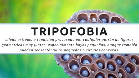 qu� es la tripofobia